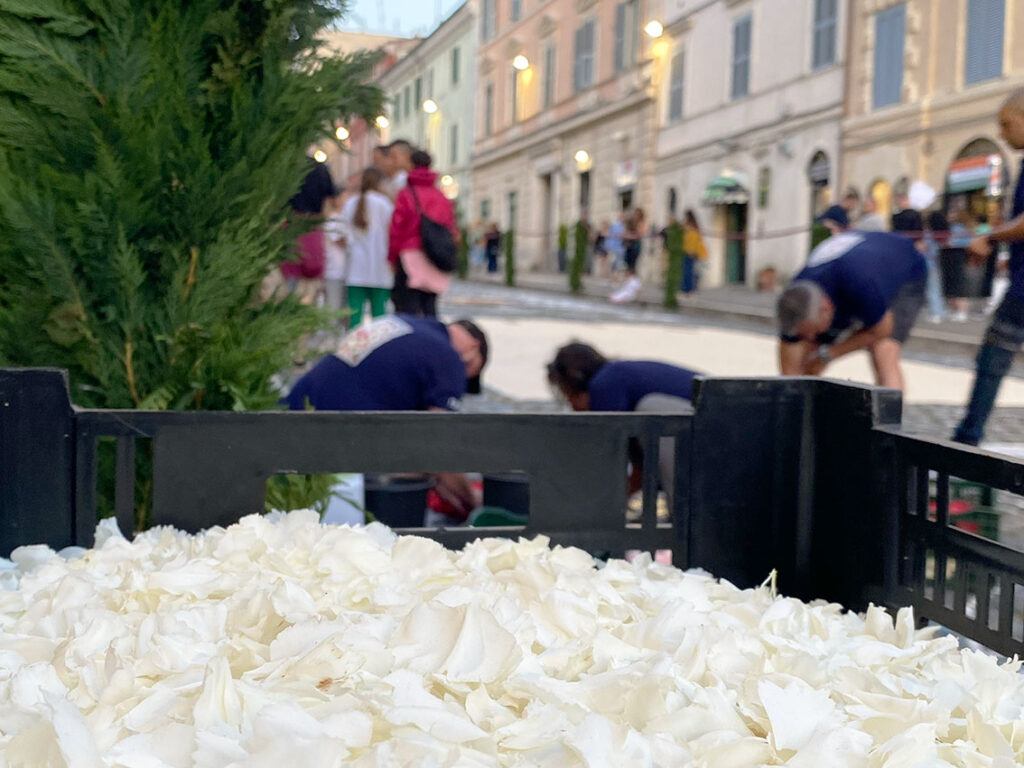 Casa-tornasole-genzano-casa-affitti-brevi