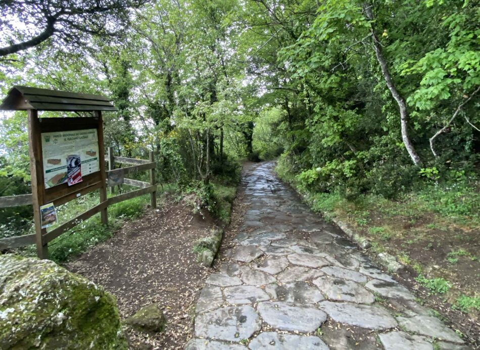 Primavera ai Castelli Romani: una Vacanza Indimenticabile a Due Passi da Roma