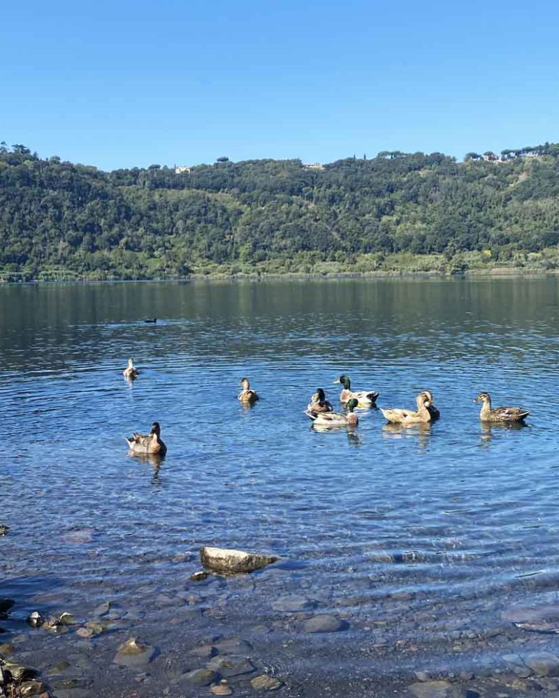 Spiaggette-lago-di-Nemi-Casa-tornasole